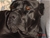 Tenebra - Triola Cane Corso